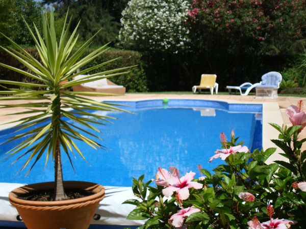 Pool Terrace Renovation in West Chester